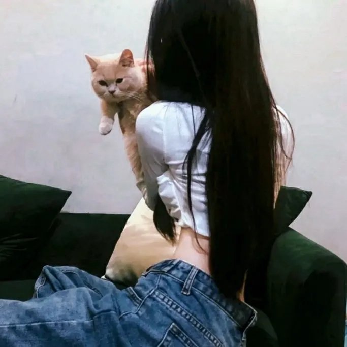 十全主妇